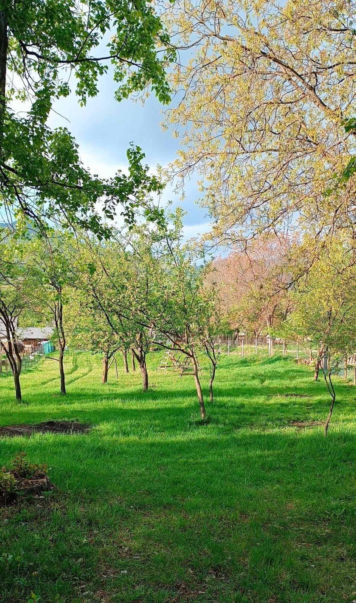 Casa De Vacanta Alina Prundul Birgaului Exterior foto