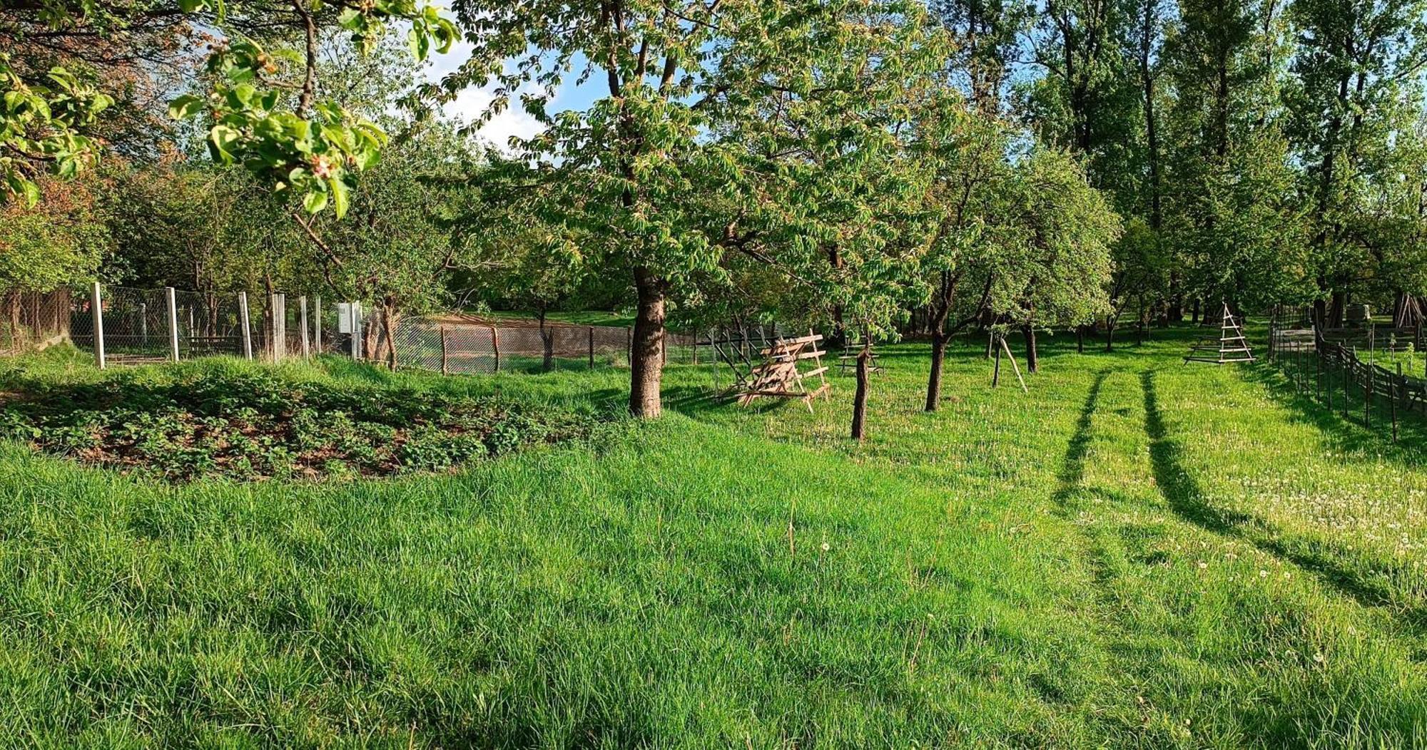 Casa De Vacanta Alina Prundul Birgaului Exterior foto